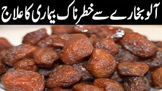 aloo bukhara benefits in urdu plum benefits plum benefits in urdu plum health benefits News Tv [upl. by Coffee]