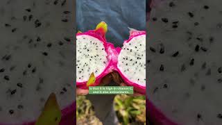 Selenicereus undatus  Also known as pitahaya Dragon Fruit is just as delicious as it is beautiful [upl. by Aticnemrac842]