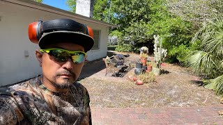 36” Wright Stander B mower mulching and blowing leaves and pollen off the driveway part 2 [upl. by Rand]