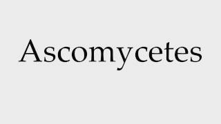 How to Pronounce Ascomycetes [upl. by Ihtak296]