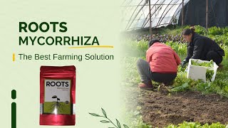 review about the ROOT MYCORRHIZA manufactured by SONORIS FARMS AGROTECH AMRAVATI [upl. by Mareld]