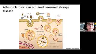 Cholesteryl hemiesters lysosome dysfunction and atherosclerosis  May 31 2021 [upl. by Zia]