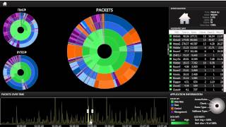 Eye PA 101 Time Graph [upl. by Kemeny]