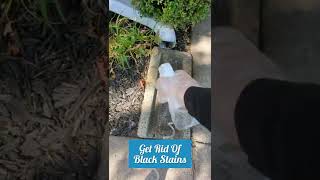 Outdoor Brick and Cement Cleaning with Wet amp Forget ReadyToUse [upl. by Chic]