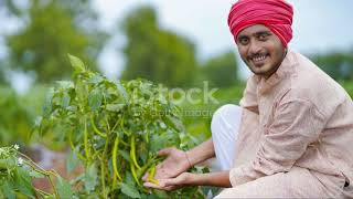 Organic Farming in India A Sustainable Agriculture [upl. by Eberly]