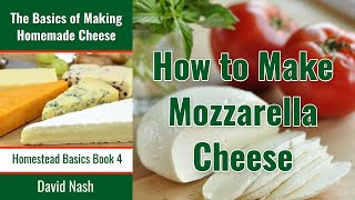 How to Make Mozzarella Cheese  30 Minute Mozzarella  Simple Awesome and Few Ingredients [upl. by Stevie]