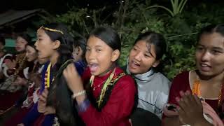 Tihar dance 2081 [upl. by Bessy]