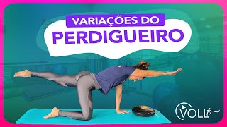 4 Variações do Perdigueiro [upl. by Ailima]