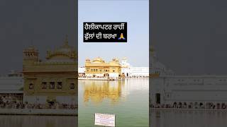 fllower barkha at darbarsahib with helicopter 🙏🙏 [upl. by Shayne]