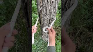 Rope binding trick that will shock you [upl. by Lehet]