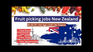 New Zealand Fruit picking jobs  Seasonal jobs in New Zealand [upl. by Sneve]