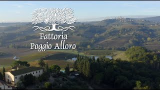 A FAMILY FARM IN TUSCANY  FATTORIA POGGIO ALLORO [upl. by Haney470]