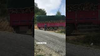 Tampon işi bıraktı 😂😂 Onur Yol yolsanakliyat keşfet mercedes axor3240 odunjeti🚀 [upl. by Attiuqram]