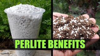 Perlite For Your Garden  Garden Quickie Episode 47 [upl. by Nived]