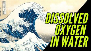 Dissolved Oxygen in Water [upl. by Wye]