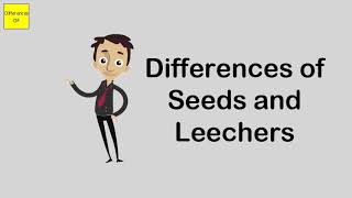 Differences of Seeds and Leechers [upl. by Niwrek827]