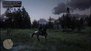 Red Dead Redemption 2 Wild Appaloosa Location [upl. by Zabrina]