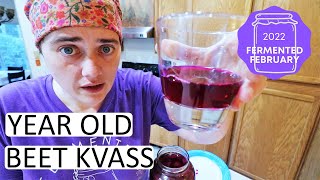 FERMENTED FEBRUARY Colab Fermenting Beet Kvass For the Absolute Beginner  Fermented Homestead [upl. by Oirobil]