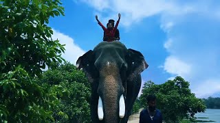 Thrissur Pooram Signature Film by TCV  Chirakkal Kalidasan  Pooram Promo 2018 [upl. by Eyk]