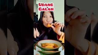 Makan Udang Galah Masak Santan keseharianaurorakhansa shorts mukbang [upl. by Llerrehs]