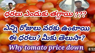 Today tomato rate  నవంబర్ టమోటా ధరలు ఎలా  అక్టోబర్ లో టమాటా ధరలు ఎలా ఉంటాయి tomatoanalysis [upl. by Nonahs455]