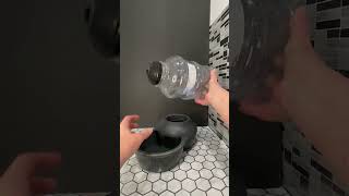 Honest Review of Petmate Aspen Pet Lebistro Cat and Dog Water Dispenser [upl. by Ennoirb18]