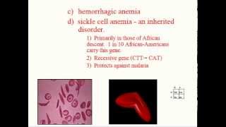 Hematology  Physiology  Part 2 [upl. by Dranreb378]