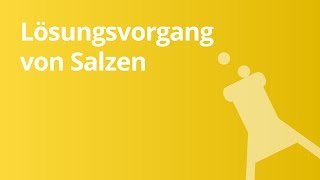 Der Lösungsvorgang von Salzen leicht erklärt  Chemie [upl. by Flemming189]