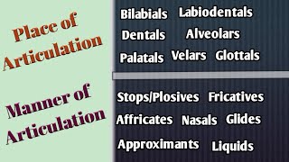 Place and Manner of Articulation in UrduHindi Articulatory Phonetics Speech Organs Speech Sounds [upl. by Carie]