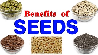 Top 5 Benefits and uses of Seeds in Life I Pumkin Sunflower Chia Aliv Flax Watermelon seeds [upl. by Radley934]