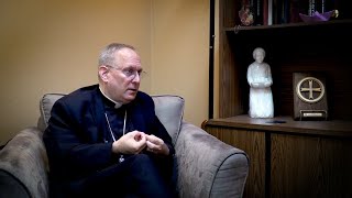 Insights from Bishop Alain Faubert Themes and areas of reflection [upl. by Debbie]