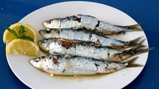 Sardinas Sin Humos Ni Olores [upl. by Raffo446]