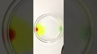 Complex reaction Science experiment Complex reaction of potassium ferrocyanide Science experimen [upl. by Abla]