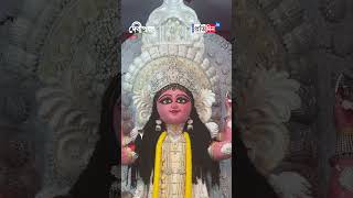 Jagaddhatri Puja 2024First look of Bagbazar Sarbojanin Jagadhatri Puja Committee [upl. by Ardeid]