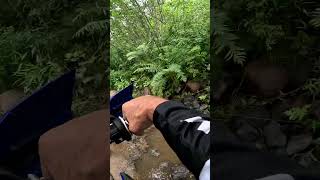 🔵🔥A ROCKY STREAM sherco enduro dirtbike shorts [upl. by Ideih368]