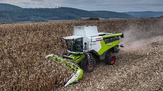 CLAAS LEXION 7700 Montana  CORIO CONSPEED 875 FC [upl. by Inasah619]