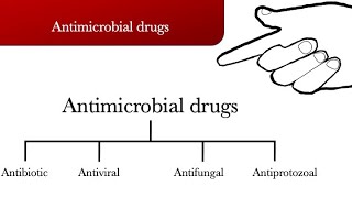 Antimicrobial drugs  antibiotic antiviral antifungal and antiprotozoal [upl. by Asoramla]