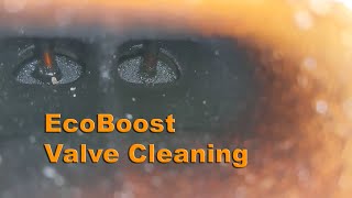 27L Ecoboost Valve Cleaning [upl. by Kanter]