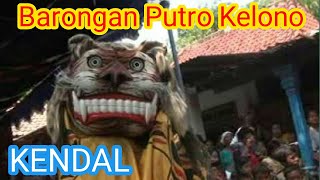 Barongan Putro Kelono Kendal [upl. by Sulohcin600]