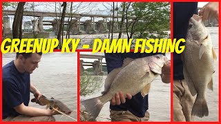 Greenup Kentucky  Damn Fishing [upl. by Renat342]