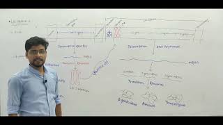 Lac OperonMolecular Basis of Inheritance12th BiologyNEETAcademic202324 [upl. by Nemajneb]