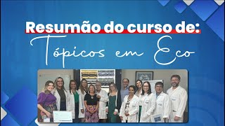 Resumo dos dias do curso de TÃ³picos em Ecocardiografia [upl. by Oicanata]