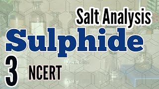 Identification of Sulphide Sulfide  Salt Analysis series NCERT [upl. by Filippo]