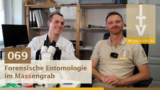 Archäologie erklärt 069 Forensische Entomologie im Massengrab [upl. by Ehgit169]