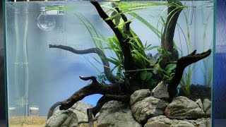 Nano Iwagumi Aquascape quotBluesky and Redsandquot ADA Mini M  Step by Step [upl. by Affer]