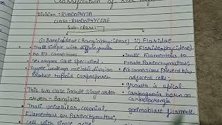 Classification of Rhodophyta  classification of Red algae Red Algae [upl. by Kenley]