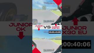 Kart VS Kart  Junior X30 VS Junior OK [upl. by Nylesor294]