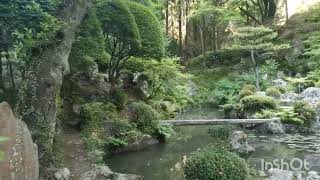 内々うつつ神社 愛知県春日井市内津町 [upl. by Hannan]