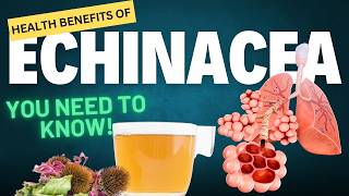 Unbelievable Health Benefits of Echinacea You Need to Know [upl. by Afrikah5]