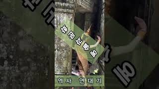 위대한 한달간에 여정 태국 여행 라오스 캄보디아 인도차이나 3개별을 관통하다위대한 성소 앙코르 연대기 httpstravelguardiancokrtour [upl. by Royo]